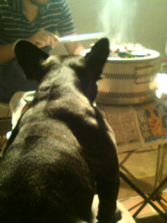 ����������Q���ł��B