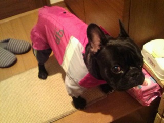 �J�U�������B