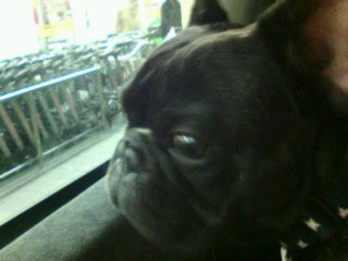 ���������̂����Ƃ��҂��B