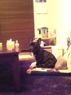 �����C�B