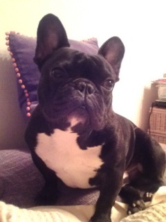 ��̕����B�܂�����B