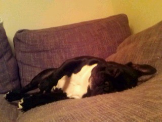 �����ł��B