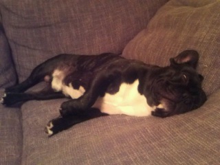 �����Ĕ��ډ��b�ɁE�E�E���킢�患