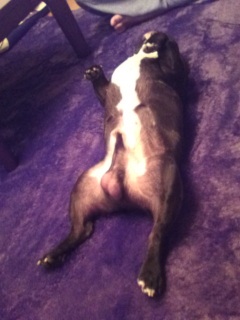 �Ȃ�Ďp�ł����[�I(��)