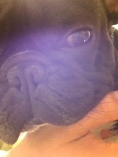 �Q�钼�O�B���₷�݂Ȃ����B