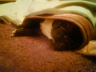 �����ʐM�B