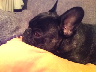 �����ʐM�B