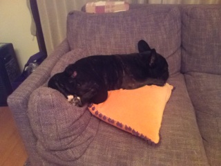 �����̐Q��w