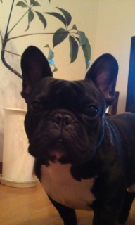 �����ʐM�B