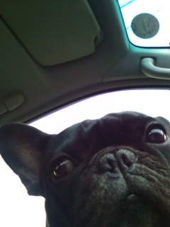 �����畽���B