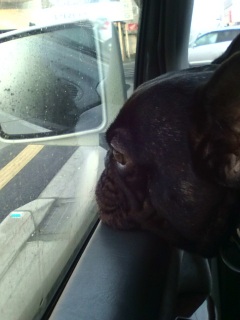 �����̂�����B