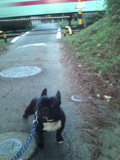 �����͑��߂ɋA�������[���U���B