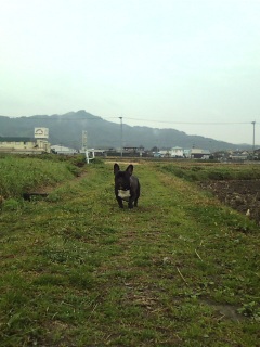 �_���U���B