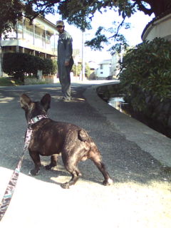 �V���[�g�����I�U���y�����B