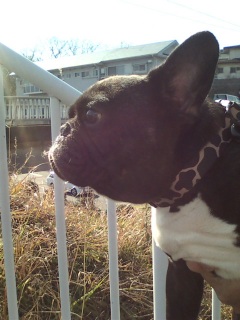 �U�����̊K�i�̓w���j�A�ɂȂ�Ȃ��悤�������ł��B