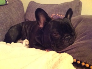 �Q���͎����ō��܂��B