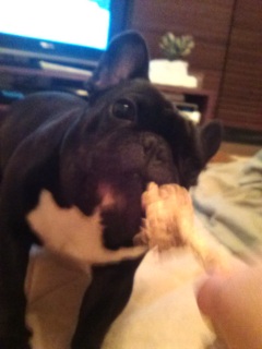 ���[�v���D���B