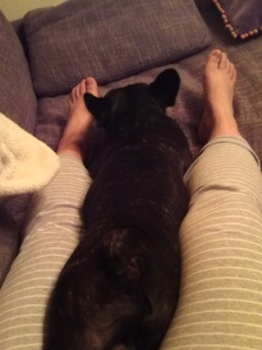 ���̊ԂŐQ�܂�(��)