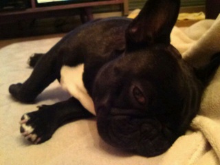 �����Ă��܂�܂���B