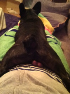 ���ɂ܂������ĐQ�܂��B