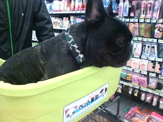 �z�[���Z���^�[�s���܂����B