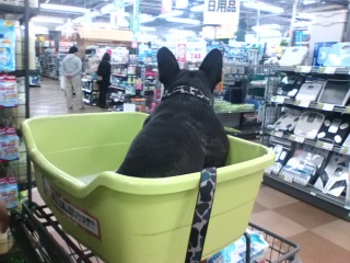 ���肱���ł��B