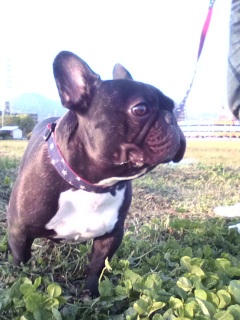 �悾��Ȃт����Ȃ���L����ł��B