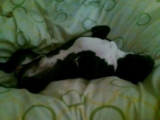 ��������Ȏp�Ŕ������Ă܂����B