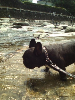 ��V�т��܂����B