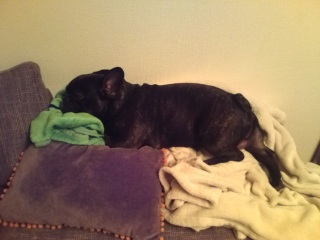 �\�t�@�[�ŐQ�������̂ł�