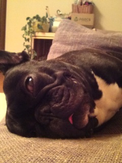 すごい顔して寝てます。