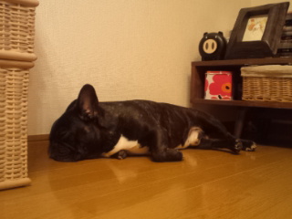 ���Q�ōD���ȏꏊ�B