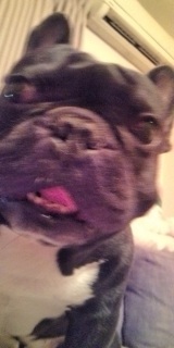 �Ԃ������X�y�V����w