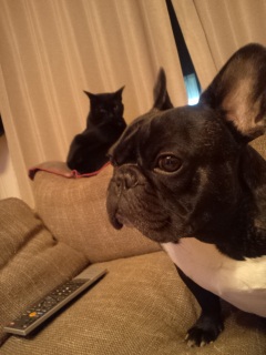 �����Ƃ͂Ȃ����B