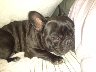 �˂ނ˂ށB�z�c�̒��B