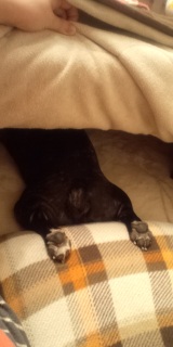 �����}���B�������o���ĐQ�܂��B