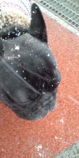 ��ɐႪ�ς��邾���B