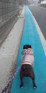 ���������B