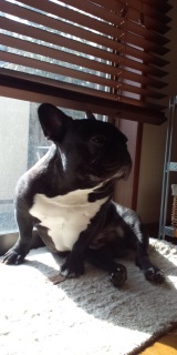 �������O�B