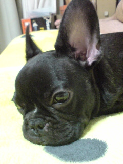 �����E�E�E