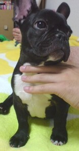 �������B