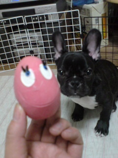 ���܂������