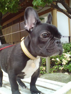 �߂��炵��