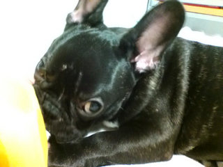 ���イ���イ