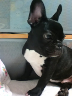 ����킢��