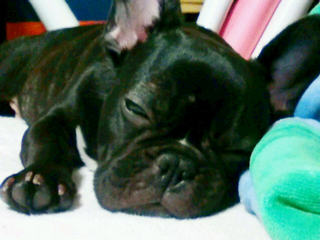 ��������ȐQ��