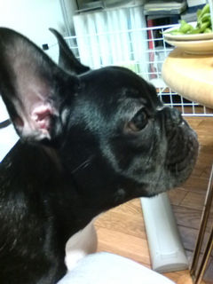 �}���҂��B