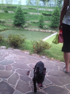 �U���r��