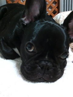 ����̕���