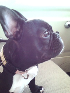 ���������B